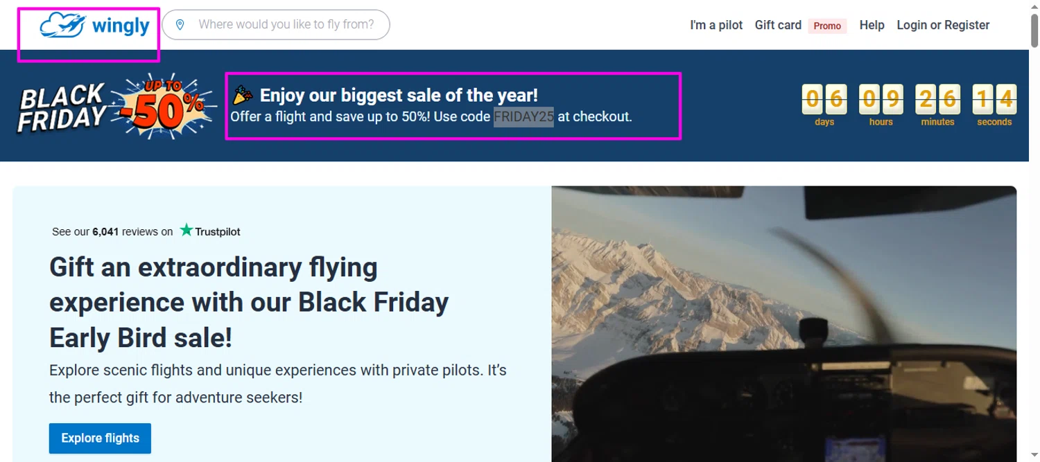 Wingly discount code screenshot showing code FRIDAY25 applied at Wingly checkout page. Uploaded by SimplyCodes community member mrdarcy on Nov 6, 2025