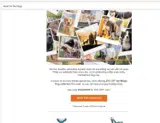 DOGDAY25 coupon verification screenshot