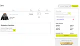 LASTCHANCE10 coupon verification screenshot