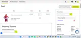 MISSYOU20 coupon verification screenshot