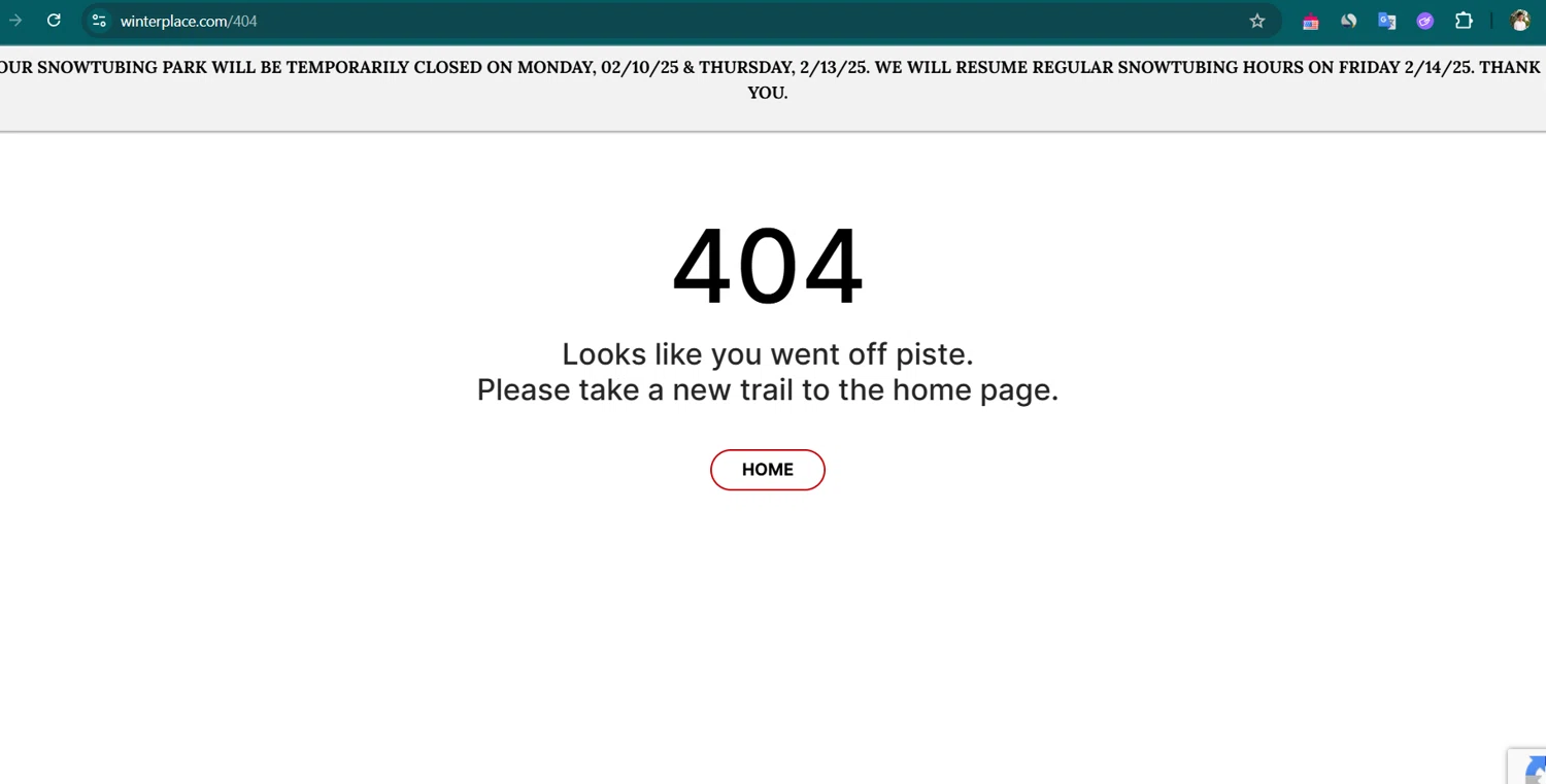 Winterplace Ski Resort coupon code screenshot showing code TA applied at Winterplace Ski Resort checkout page. Uploaded by SimplyCodes community member Lioniel on Feb 11, 2025
