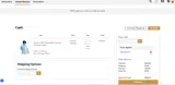DAYLIGHT10 coupon verification screenshot