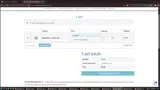 Wise Choice Medicine coupon verification screenshot