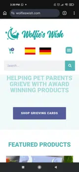 lastchancenow coupon verification screenshot