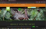 Woodland Park Zoo coupon verification screenshot