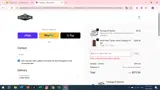 SPRINGSALE coupon verification screenshot