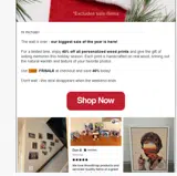 FRISALE coupon verification screenshot