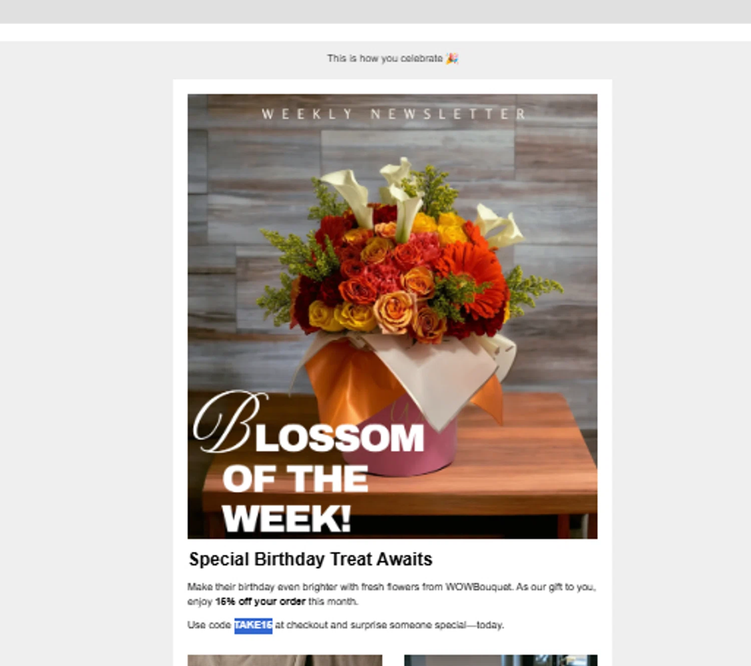 Wow Bouquet coupon code screenshot showing code TAKE15 applied at Wow Bouquet checkout page. Uploaded by SimplyCodes community member Jhonny on Sep 4, 2025