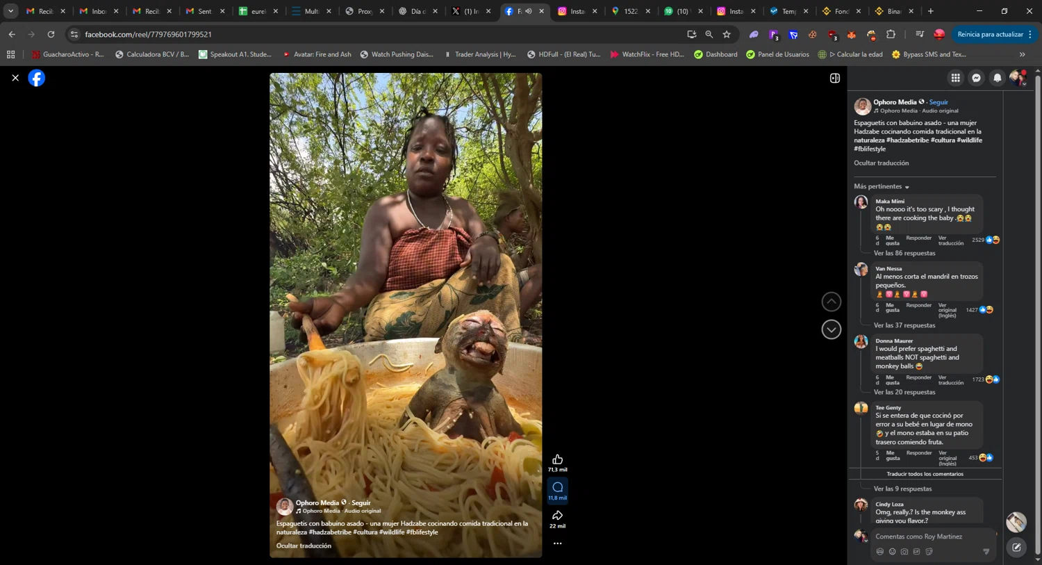 Wrappiness promo code screenshot showing code REWR applied at Wrappiness checkout page. Uploaded by SimplyCodes community member CrownGuardian9882 on Jan 19, 2026