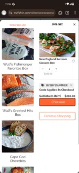 BYEBYESUMMER coupon verification screenshot