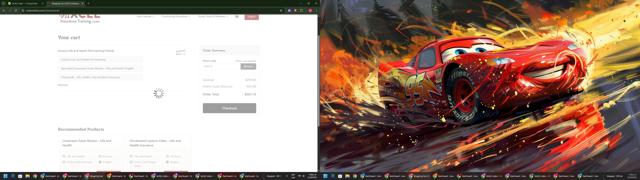 XCEL Solutions checkout page showing XCEL Solutions discount code box | Screenshot taken by SimplyCodes community member on Sep 13, 2025