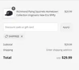 Hartford Yard Goats coupon verification screenshot
