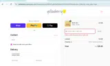 SAVE10 coupon verification screenshot