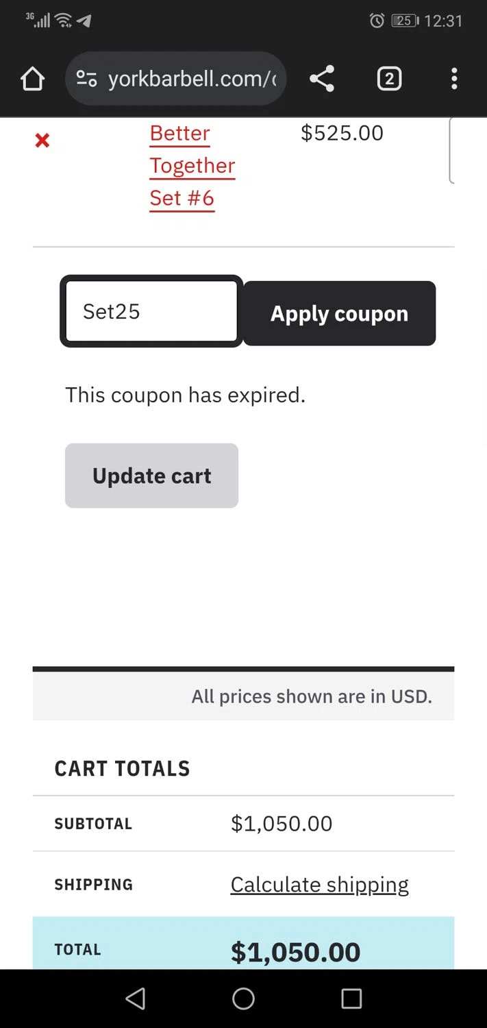 York Barbell coupon code screenshot showing code Set25 applied at York Barbell checkout page. Uploaded by SimplyCodes community member Camilocabello on Feb 19, 2025
