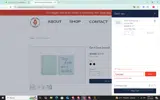 bigsaveget coupon verification screenshot