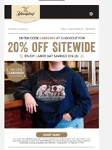 LABEER20 coupon verification screenshot