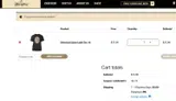 CELEBRATE15 coupon verification screenshot