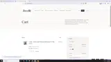 PAYDAY coupon verification screenshot