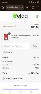 ZS10 coupon verification screenshot