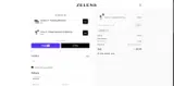 ZELENS10 coupon verification screenshot
