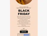 THANKSZEVA coupon verification screenshot