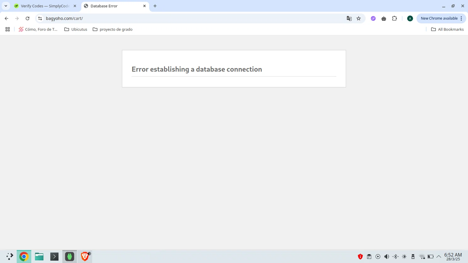 Zopto checkout page showing Zopto coupon code box | Screenshot taken by SimplyCodes community member on Mar 28, 2025