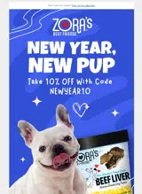 NEWYEAR10 coupon verification screenshot