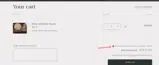 XMAS coupon verification screenshot