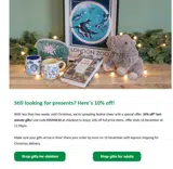 FESTIVE10 coupon verification screenshot