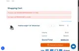 PRESIDENTSDAY coupon verification screenshot