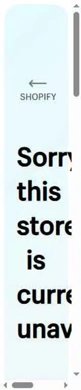 Abanigo Store coupon verification screenshot