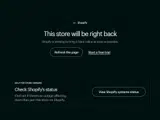 Abanigo Store coupon verification screenshot