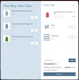 PINTEREST15 coupon verification screenshot