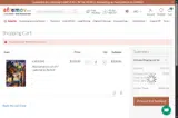 FINEARTS coupon verification screenshot
