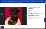 FURGOTSOMETHING coupon verification screenshot