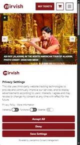 Aladdin Mirvish coupon verification screenshot