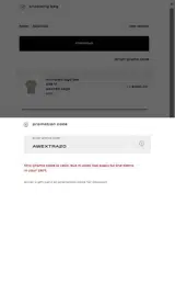 Alexander Wang coupon verification screenshot