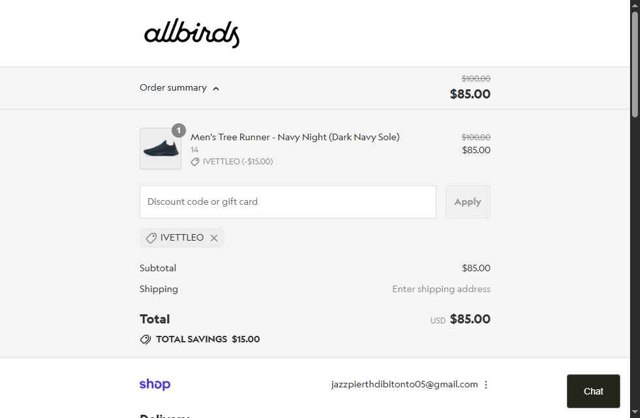 Allbirds checkout page showing Allbirds discount code box | Screenshot taken by SimplyCodes community member on Aug 29, 2025