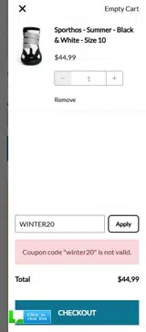 WINTER20 coupon verification screenshot