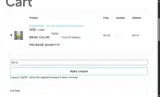 BIG10 coupon verification screenshot