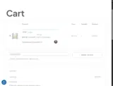 bepreparedn95 coupon verification screenshot
