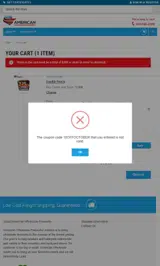 American Wholesale Fireworks coupon verification screenshot