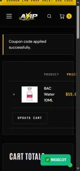 BIGSLOT coupon verification screenshot