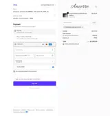 PRINCESSCHELSEAALANA coupon verification screenshot