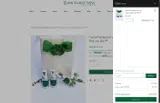 gift20 coupon verification screenshot