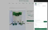 NAHO10 coupon verification screenshot