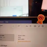 Antsy Labs coupon verification screenshot