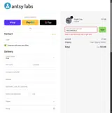 Antsy Labs coupon verification screenshot
