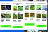 FALLGUPPY coupon verification screenshot