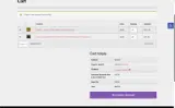 BUILD10 coupon verification screenshot
